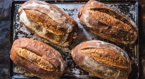 4 Secrets To Unlocking The Perfect Rest For Your Sourdough