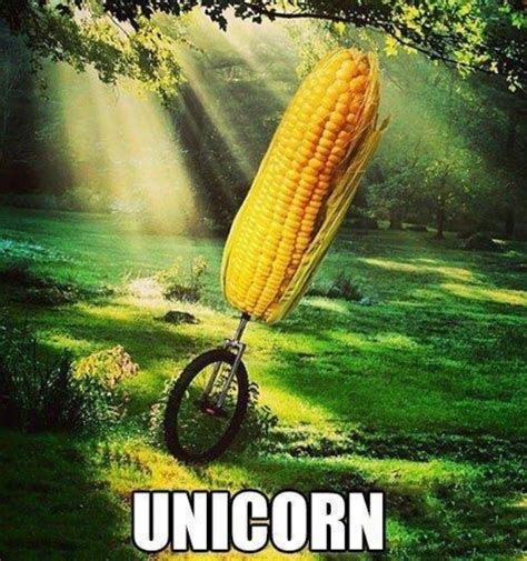Corn on the cob | Corny jokes, Funny puns, Funny
