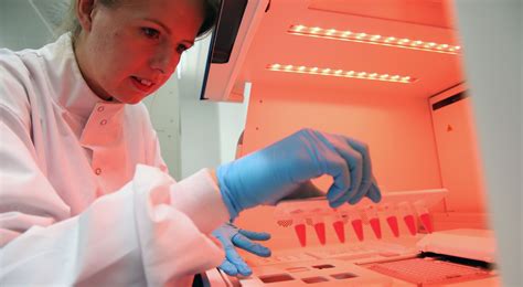 Research funding will boost every future paleontologist salary 6