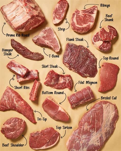 home cooks guide    cuts  beef    kitchn