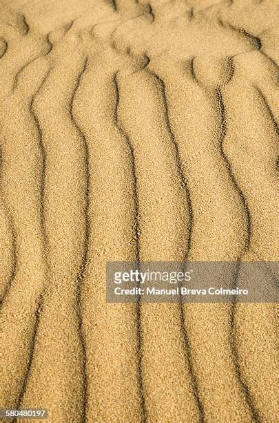 sand dune system   premium high res pictures getty images
