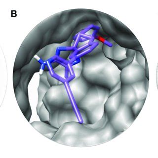 (PDF) Molecular Docking and Dynamic Simulation of AZD3293 and Solanezumab Effects Against BACE1 ...