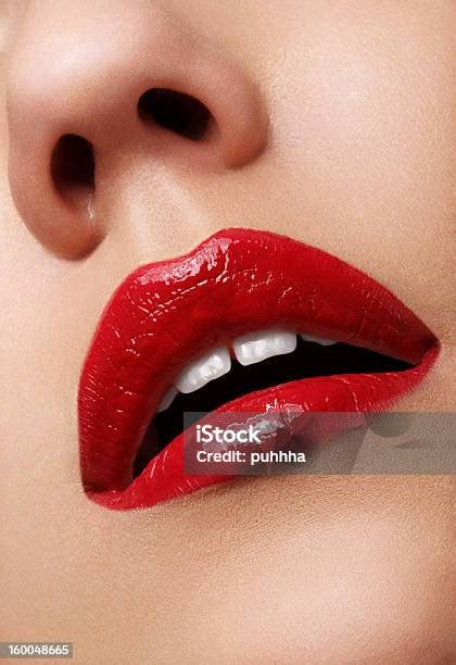 bibir foto stok  gambar  bagian tubuh manusia