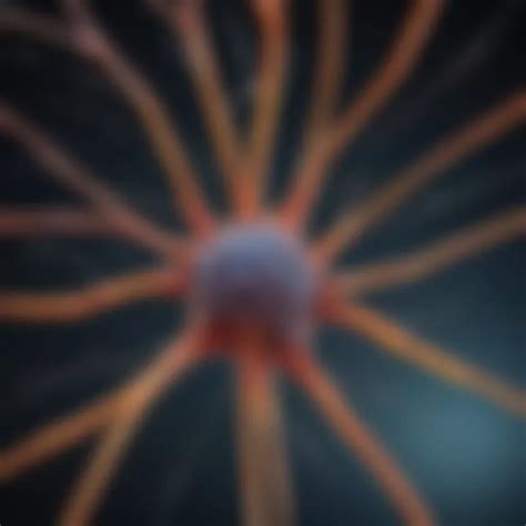 exploring neuron origin foundations  neural development