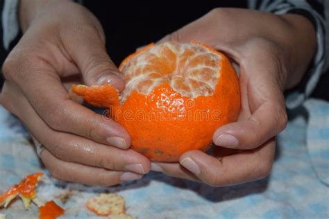 Fruit, Citrus, Clementine, Produce Picture. Image: 131165310