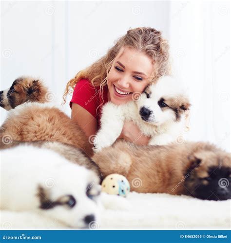 Beautiful Woman Playing with Cute Caucasian Shepherd Puppies Stock