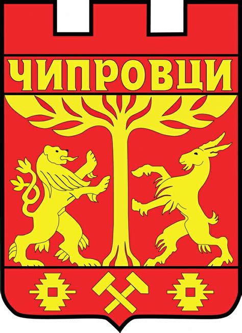 ЧИПРОВЦИ ВРАЦА ДНЕС