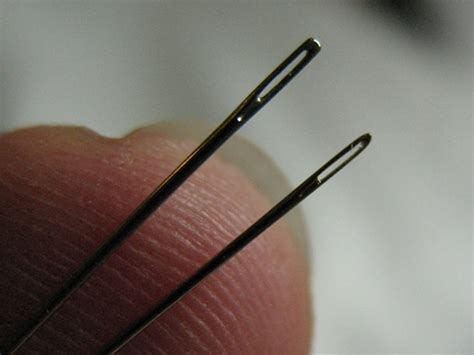 needles  macro wormspit
