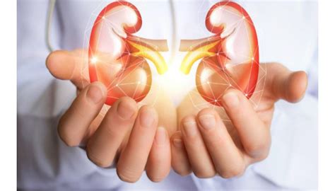 understanding acute kidney injury triggers  contributing factors