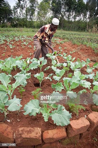 98 Bungoma Kenya Photos & High Res Pictures - Getty Images