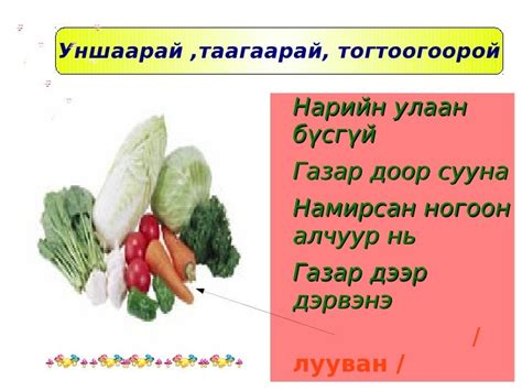 хүнсний ногоо
