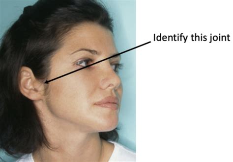 What Surfaced Beneath Rosierider S Final Surface The Secret Just Spillged news