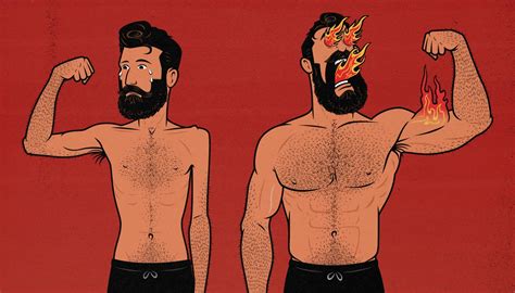 build musclefull guide