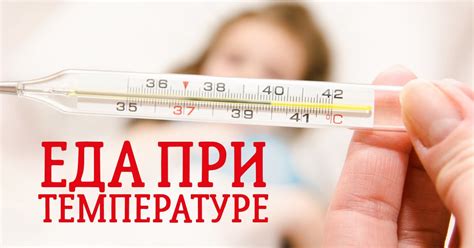 Питание при температуре - Со Вкусом