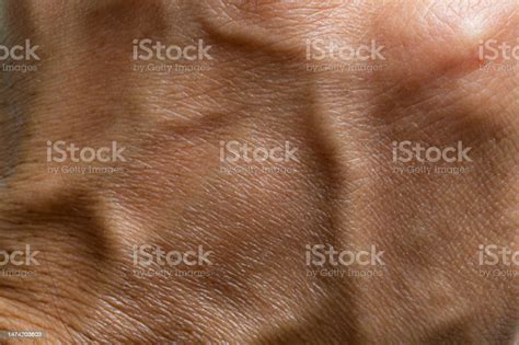 Macro Human Hand Skin Macro Human Hand Texture The Texture Of The Skin ...