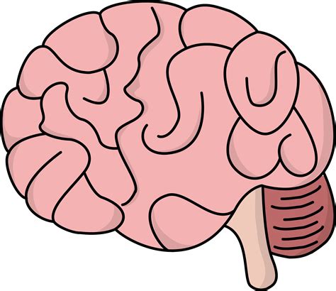 brain drawings simple