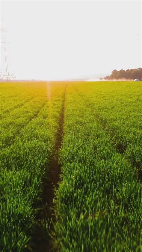 Couple+Pinay+Sex+Video Videos, Download The BEST Free 4k Stock Video