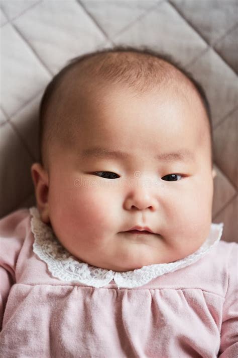 cute newborn baby stock image image  childhood portrait
