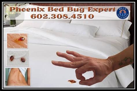 Best Bed Bug Expert Phoenix AZ | Bills Pest Termite Control