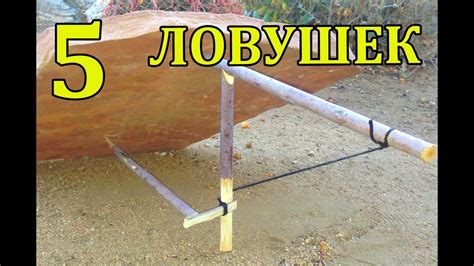 5 ЛУЧШИХ ЛОВУШЕК ДЛЯ ВЫЖИВАНИЯ / 5 best TRAPS FOR SURVIVAL - YouTube