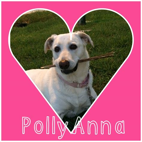 Polly Anna - Polly Anna added a new photo.