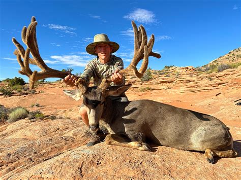 Utah Guided Mule Deer Hunts & Hunting Trips - WLHunting