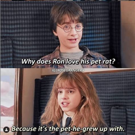 Harry potter funny memes – Artofit