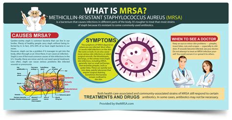 infographic   mrsa understand  basics mrsa infection