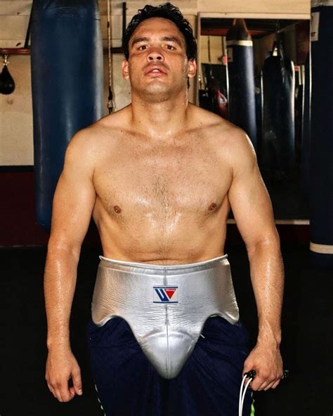 Pelea De Chavez Jr