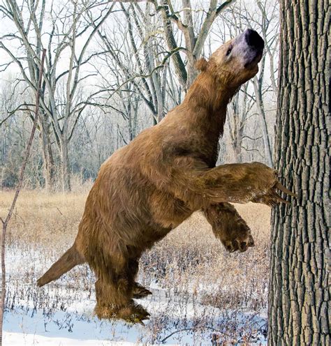 10 Extinct Megafauna (With Photos You Won't Believe) - A-Z Animals