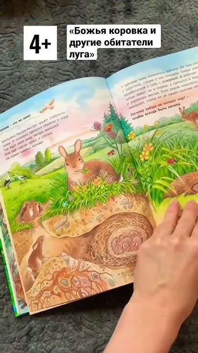 Обзор «Божья коровка и другие обитатели луга» #книги4+#детскиекниги # ...