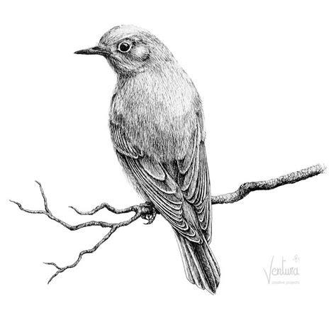 Image result for bird ink