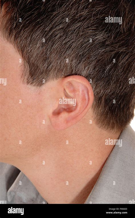 ear   young man stock photo alamy