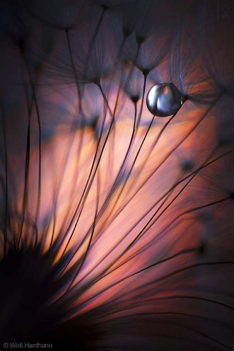 Stunning macro details | Abstract nature, Abstract photography, Nature ...