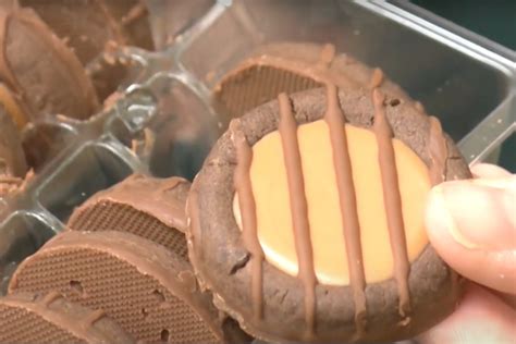 Adventurefuls Are The Newest Girl Scout Cookies To Hit The Streets