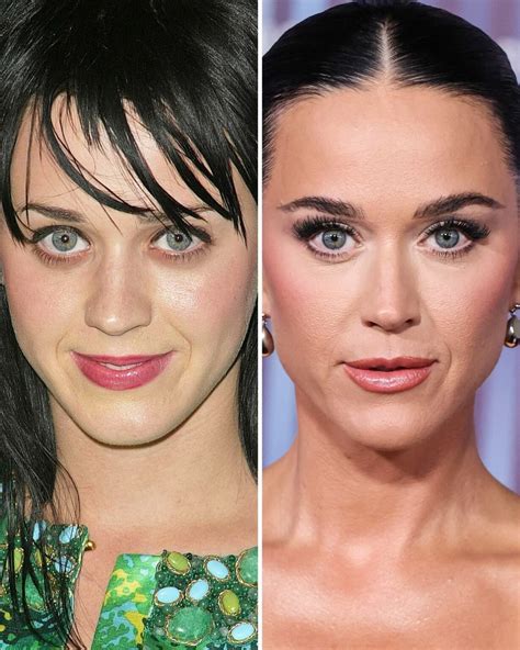 katy perry    ozempic   happened homegardeners