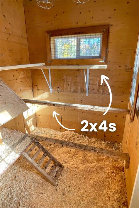 chicken coop interior ideas 4