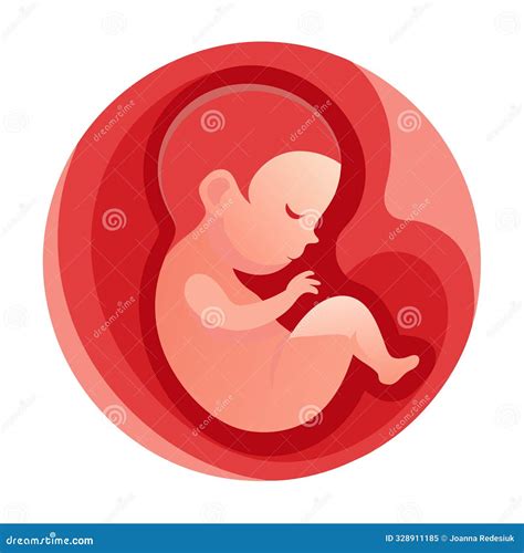 A Fetus Is Depicted Curled Up Inside The Womb, Portrayed With Shades Of