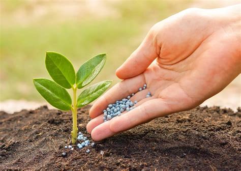 O Que É Solo Fertil - Fertilidade do solo: guia prático para uma boa produtividade - Cerrado Case