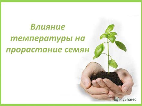 Презентация на тему: "Влияние температуры на прорастание семян. Цель ...