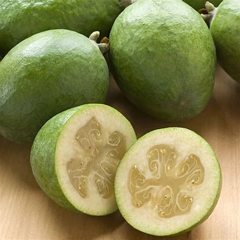 feijoa tree varieties