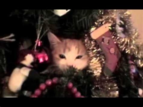 Cats Destroying Christmas Trees And Loving Every Minute