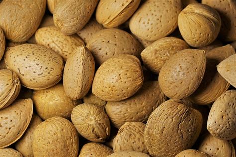 almonds  nutrition source