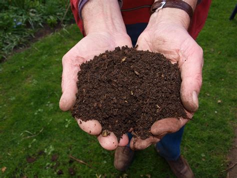 How to start composting — Stone Pier Press