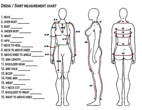 19 best Body Measurement Chart images on Pinterest | Body measurement ...