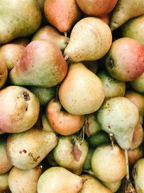manfaat buah pear  kesehatan young  top