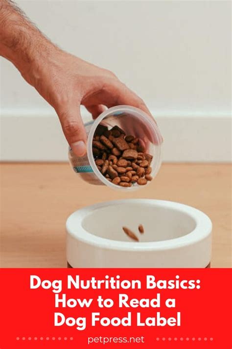 Dog Nutrition Basics: How to Read a Dog Food Label