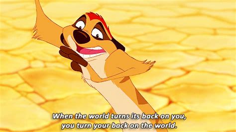 GIF timon someone advice - animated GIF on GIFER