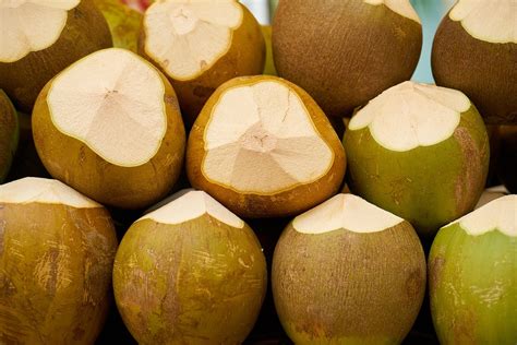 Tipo De Coco Fruta - Coco Fruta Tropical - Foto gratuita no Pixabay - Pixabay