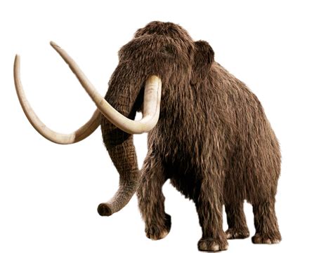 Mamut | Estelares Wiki | Fandom